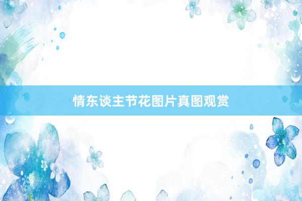 情东谈主节花图片真图观赏