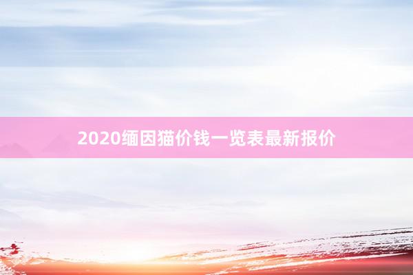 2020缅因猫价钱一览表最新报价