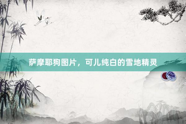 萨摩耶狗图片,可儿纯白的雪地精灵