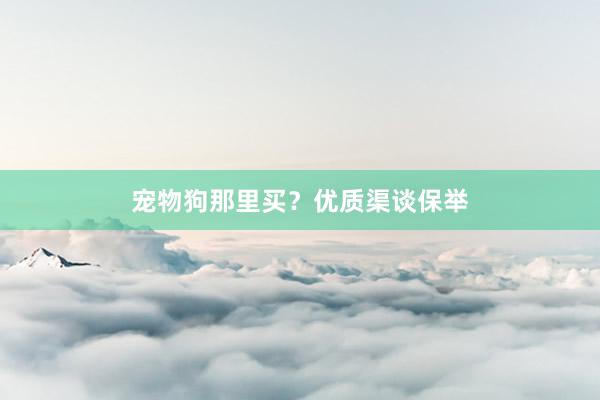 宠物狗那里买?优质渠谈保举