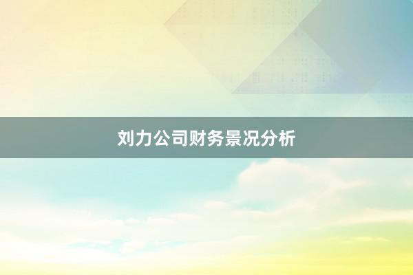 刘力公司财务景况分析